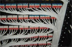 <b>网络线束展示图9</b>