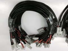 <b>动力线束展示图14</b>